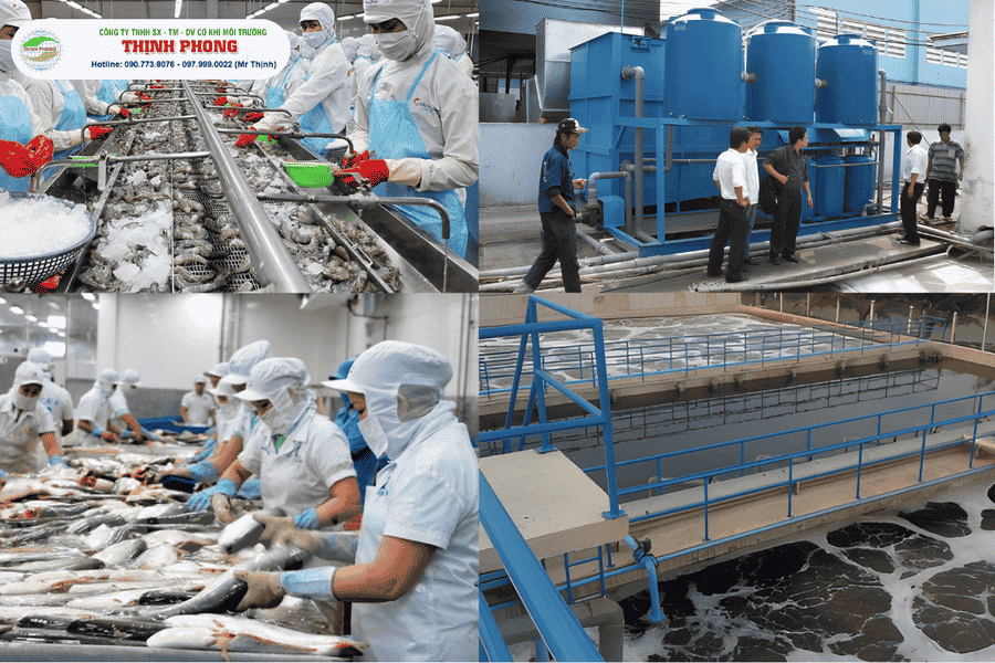 Hệ thống xử lý nước thải thủy hải sản