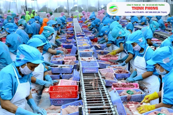 Nguyên nhân phát sinh mùi trong quá trình chế biến thức ăn thủy sản